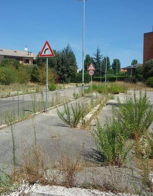 CINQUINA IN STATO DI ABBANDONO