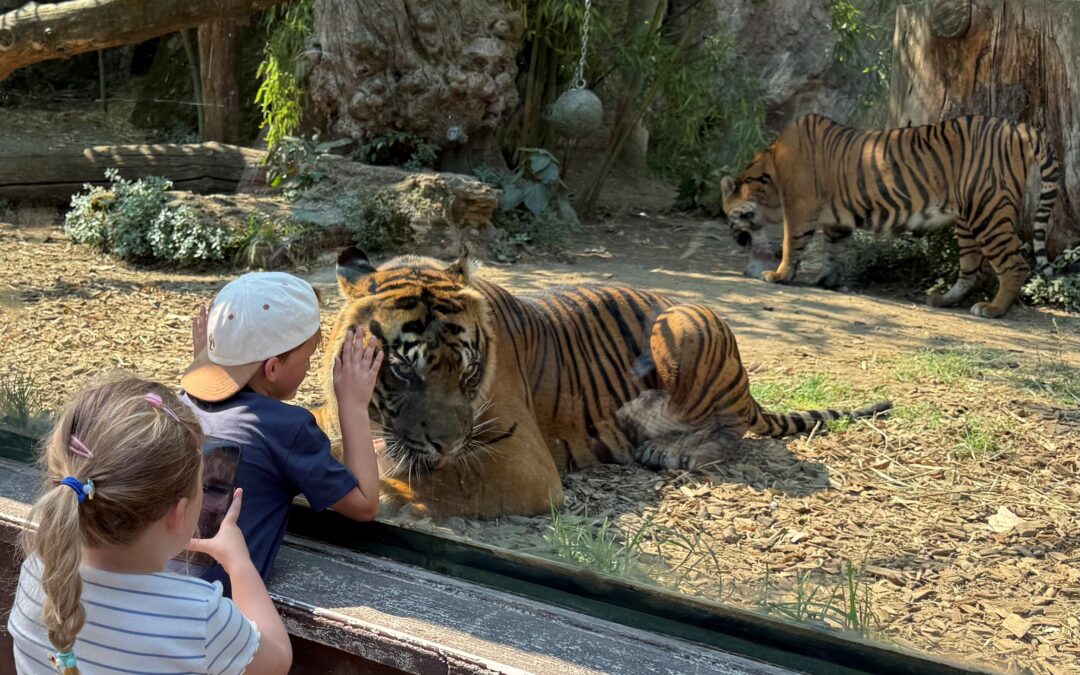 BIOPARCO ROMA CONTRO L’ESTINZIONE CON INVERTIAMO IL ROSSO